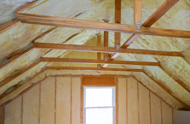 Best Eco-Friendly Insulation in Big Sandy, TX