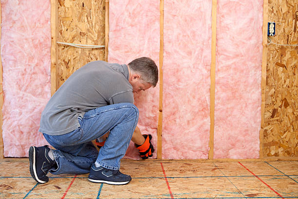 Best Cellulose Insulation in Big Sandy, TX